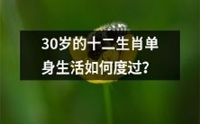 如何让处于30岁单身状态下的每一个十二生肖面对生活挑战并不断前行呢?