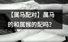 【马和猴的属相配对】是否适合属马者和属猴者进行配对呢?