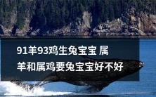 属羊和属鸡的父母生下的兔宝宝,是否容易抚养成功?——以91年羊和93年鸡为例探讨