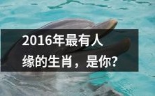 你是否是2016年最受欢迎的生肖?