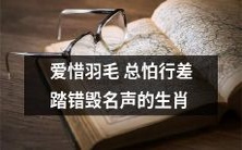 “生肖中那些注重维护名誉,小心翼翼避免犯错,以免羽毛脱落,名声受损”的孝顺动物们