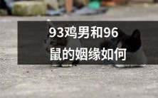 从相识到相守:揭秘93年鸡男与96年鼠女的跨越年龄和独特年份属相的缘分所在