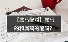 【马鸡配对】属马者与属鸡者匹配适合吗?