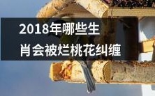 2018年哪些生肖将受到烂桃花的持续侵扰和困扰?