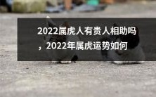 2022年属虎人运势预测:是否有贵人相助?2022年属虎人运势如何?