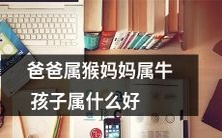 根据父母的属相,孩子应该属于哪种属相的问题,您有什么拔尖的建议呢?