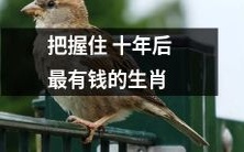 如何预测并把握住十年后可能成为最有钱的生肖?