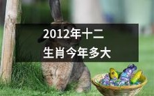 今年是2012年生肖的动物多少岁了?