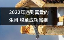 2022年克服缘分考验、找到真爱的生肖成功脱离单身苦海的典籍属相