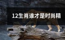 12生肖中,哪个动物最具时尚精髓?