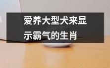 选择养育大型犬暴露出生肖中的强势和霸气特质