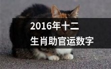 2016年十二生肖为官员带来好运的数字助力