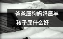 根据父母属相,孩子属什么,如何为孩子选择最合适的属相以获得更好的发展和幸福生活?