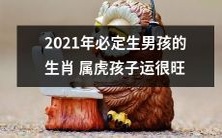 2021年属虎的孩子将迎来男性宝宝,运势大好!