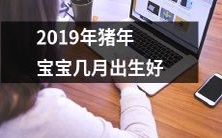什么时间出生的2019年猪年宝宝才最为可爱?