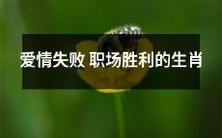 十二生肖中,爱情不顺却在职场大获全胜的那些!