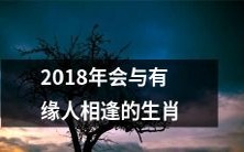 2018年生肖大乱斗:探寻可能与有缘人相逢的生肖之旅