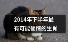 探究2014年下半年最有可能涉足婚外恋的哪个生肖
