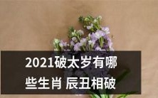 2021年度破太岁的生肖有哪些?辰丑两相破解详解!