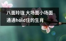 巧妙应对大小场景,全方位展现机智的生肖