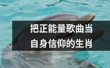 将正面能量歌曲奉为己信的12生肖之一:在音乐中寻求灵性滋养的方式