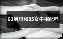 81年生的男鸡和85年生的女牛是否适合结合?