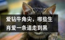 哪些生肖会执着于一条道路,不愿改变,坚持自己的理念并倾向于固守传统?