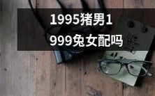 1995年出生的男子和1999年的女子是否可以成为一对成功的配偶?