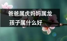 根据父母的属相,孩子应该属于什么属相呢?以爸爸为属虎,妈妈为属龙而言,快来看看孩子应该属于什么属相,不要错过这个有趣的命理测试!