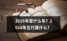 2016年的五行属性及其所代表的含义是什么?