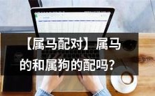 【十二生肖配对】属马人和属狗人是否适合在爱情与婚姻中搭配?
