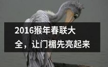 为您贴心推荐2016猴年春联大全,让您家门楣先亮起来享受浓浓年味!