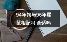 根据中国传统生肖配对理论,狗年出生的人与属鼠年份的人是否相配?会不会影响感情和婚姻幸福?