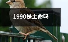 土命的1990年:是否属于土相生肖?