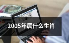 在中国十二生肖中,2005年的出生属于哪个生肖?