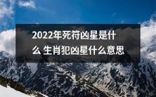 2022年将会有哪些生肖会遭受死符凶星的侵袭,而此凶星带来的意义又是何种程度的?