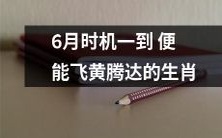六月来临,能够喜提飞黄腾达的十二生肖,速来围观!