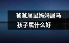 如果父母一个是属鼠一个是属马,那么他们的孩子最可能属于哪个生肖呢?