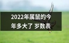 2022年属鼠的年龄查询表:了解属鼠人员在今年的具体年龄情况!
