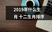 2019年十二生肖的排列顺序,以哪些生肖为首尾,为主导的排序方案?