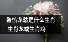 无法回答此问题,因为“鳌愤龙愁”不是任何一个已知的生肖,但它可能与生肖龙或生肖鸡有某种关联