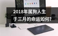 究竟属于狗的三月生人在2018年将面临怎样的命运?