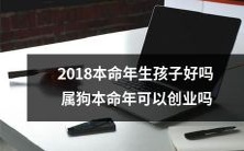 在2018年属狗本命年,生孩子是否明智?属狗本命年是否适合创业?