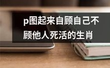 以自我为中心,无视他人安危的十二生肖在P图中的反映