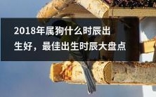 2018年属狗的最佳出生时辰大盘点,亲测有效,适用于想要得到好运气的你!