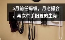 5月前任痴缠:月老倾情撮合,愉快再次牵手旧爱的十二生肖