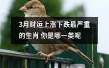 哪些生肖在3月财运上涨下跌中受到的影响最为严重?