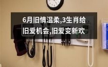六月之恋:旧情重燃,寻回失落的爱意,三大生肖为旧爱开启新时代,恋情升华,旧爱成新欢!