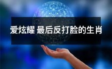 以爱炫耀为乐的生肖,最终被自己的行为反噬的故事