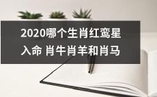 2020年哪些属相受到红鸾星注目?有肖牛、肖羊和肖马在其中吗?